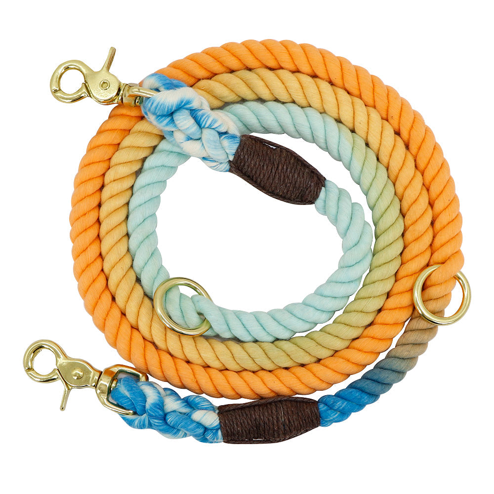Colorful Gradient Dog Training Leash-2