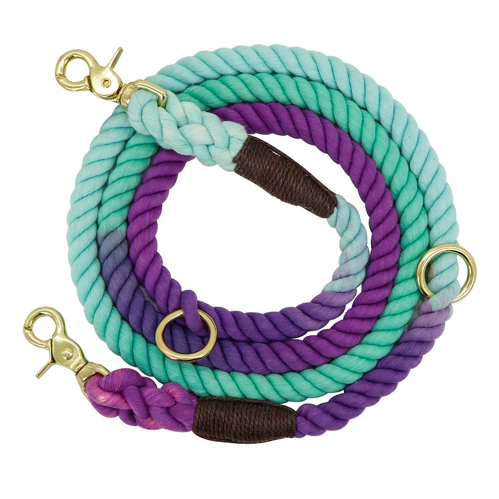 Colorful Gradient Dog Training Leash-4