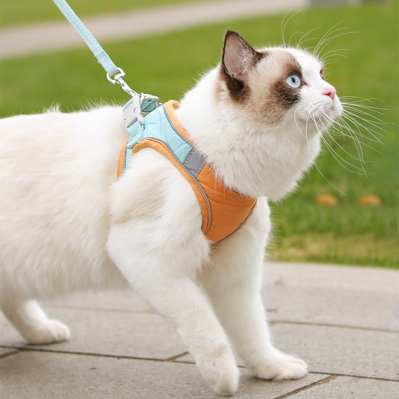 Comfortable Reflective Chest Strap Set-1