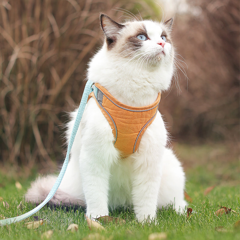 Comfortable Reflective Chest Strap Set-2