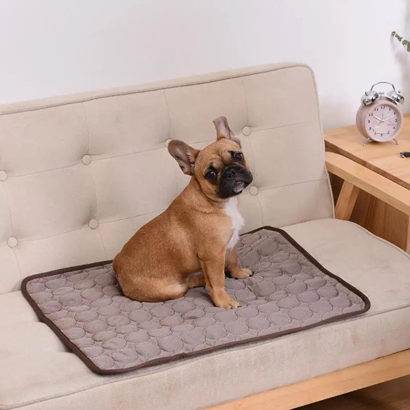 Cooling Dog Mat Summer Pad for Pets-3