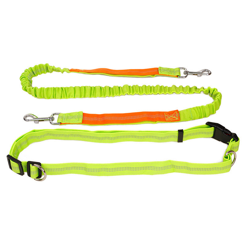 Elastic Reflective Pet Running Traction Belt-3