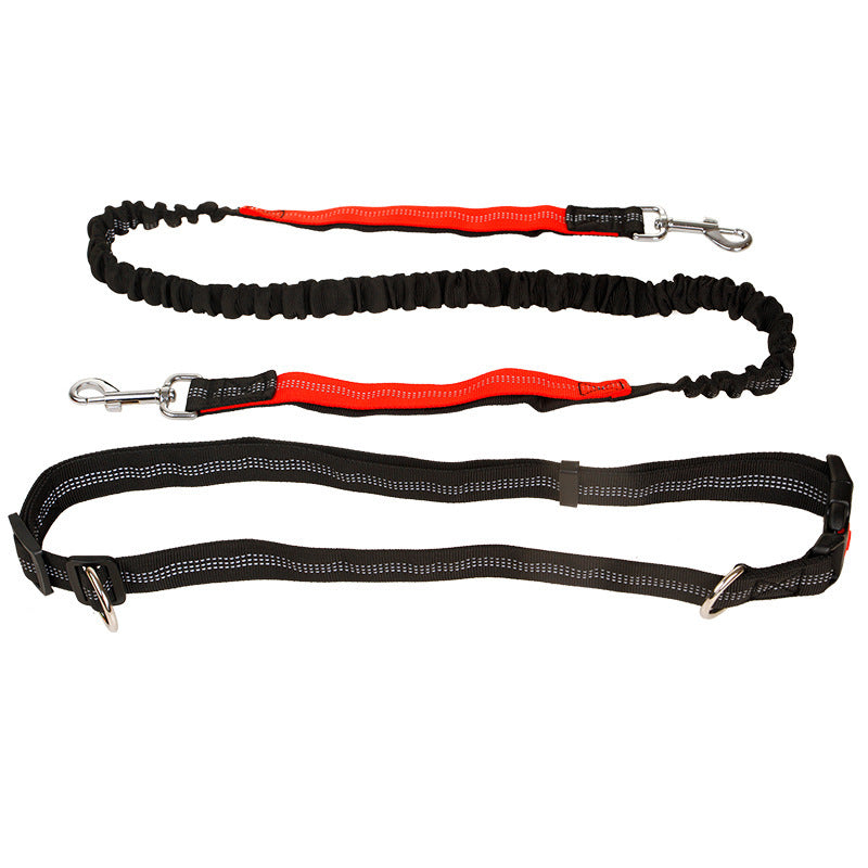 Elastic Reflective Pet Running Traction Belt-4