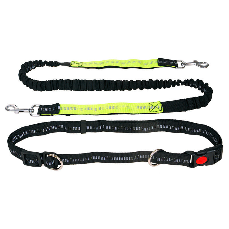 Elastic Reflective Pet Running Traction Belt-5