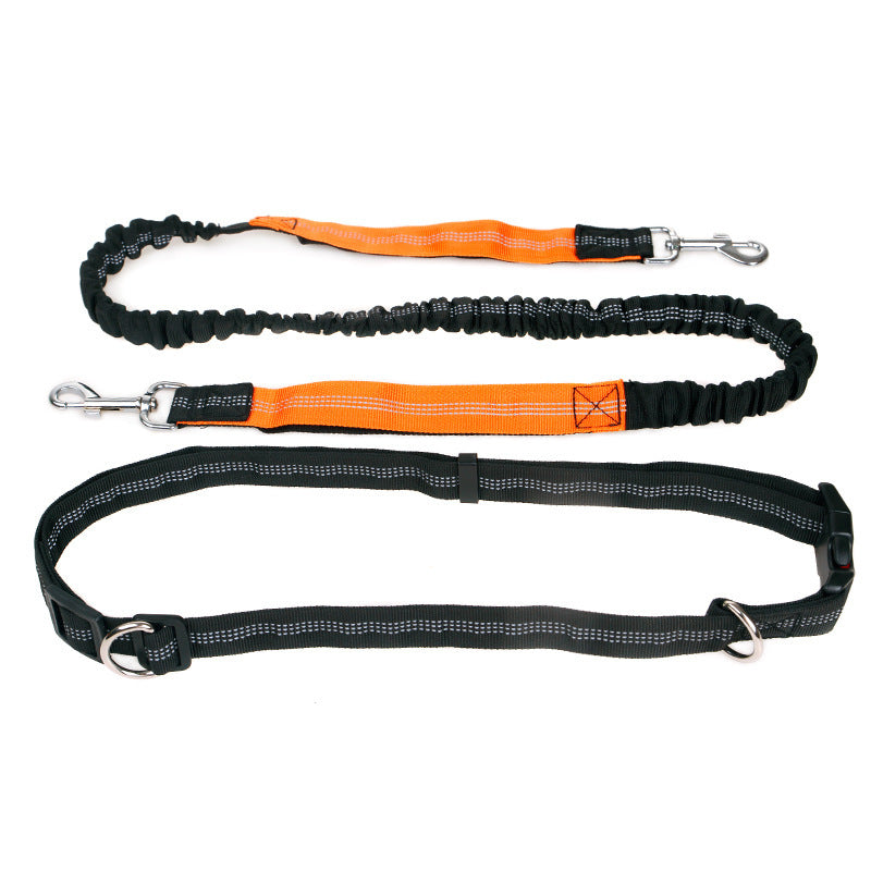 Elastic Reflective Pet Running Traction Belt-6