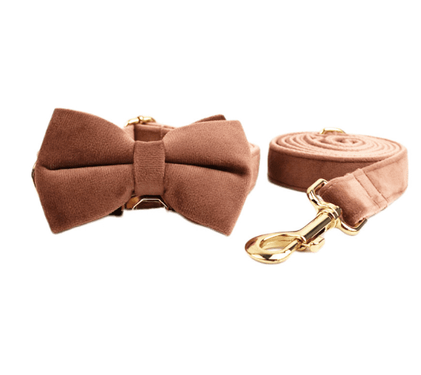 Velvet Dog Collar and Leash Set-7