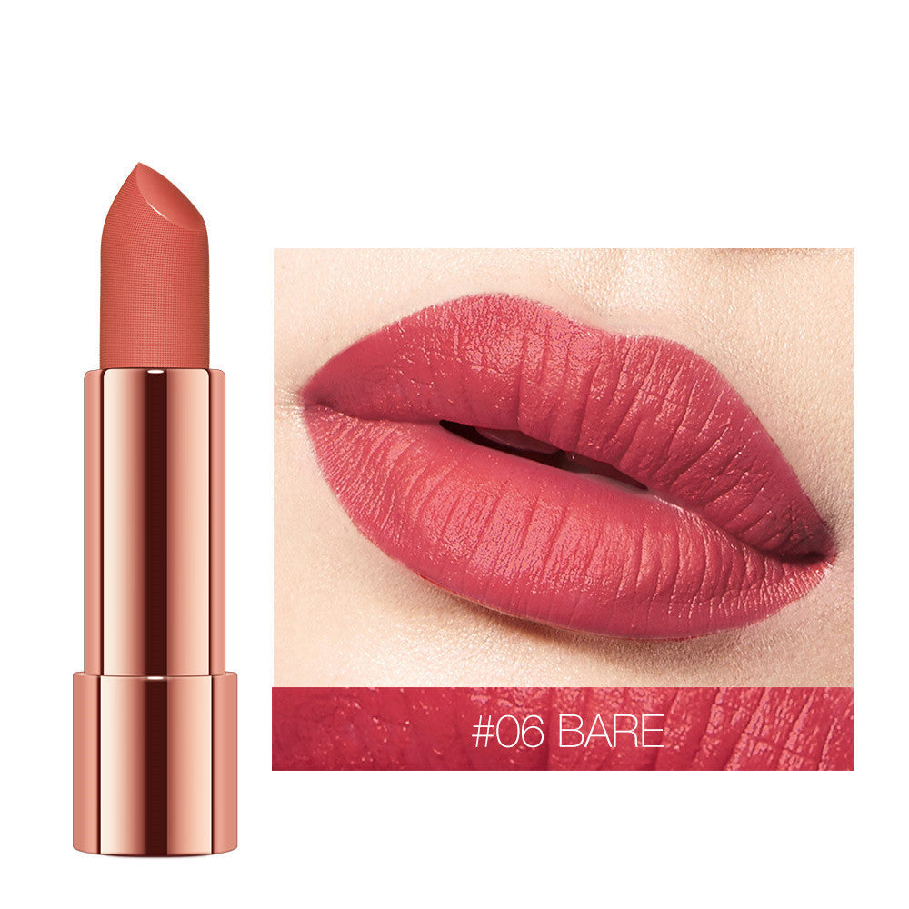 Velvet Matte Waterproof Lipstick-7