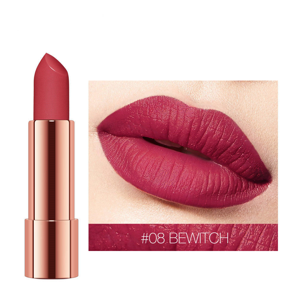 Velvet Matte Waterproof Lipstick-6