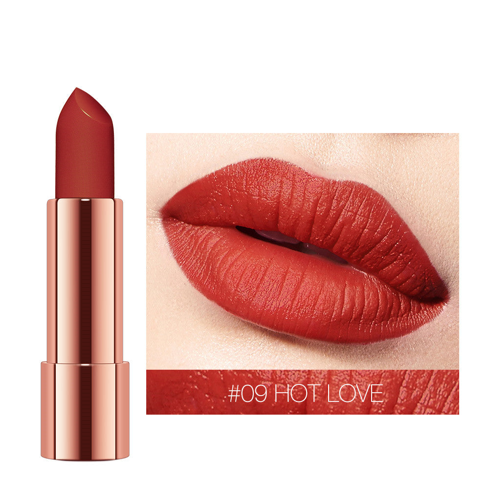 Velvet Matte Waterproof Lipstick-8