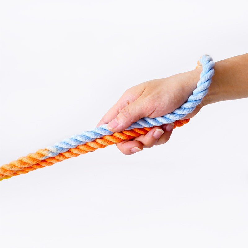 Versatile Double-Ended Dog Leash-1