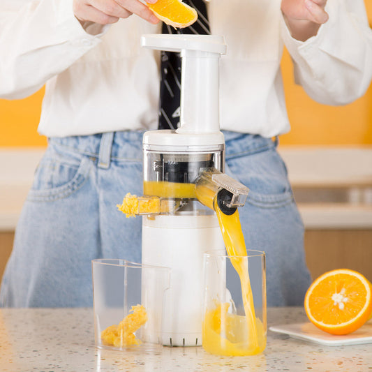 Compact Electric Juicer for Home Use-0