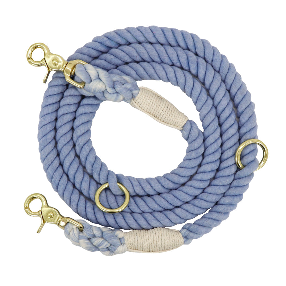 Colorful Gradient Dog Training Leash-1