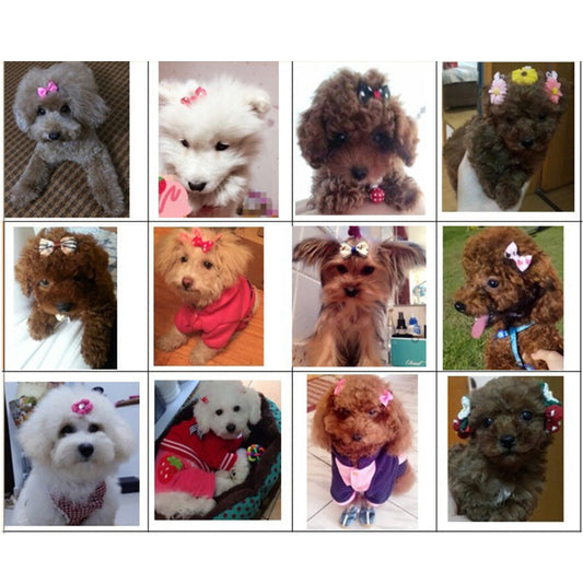 Double-Layer Pet Hair Bows-0