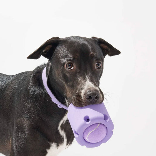 Durable Natural Rubber Dog Tennis Cup Toy-0
