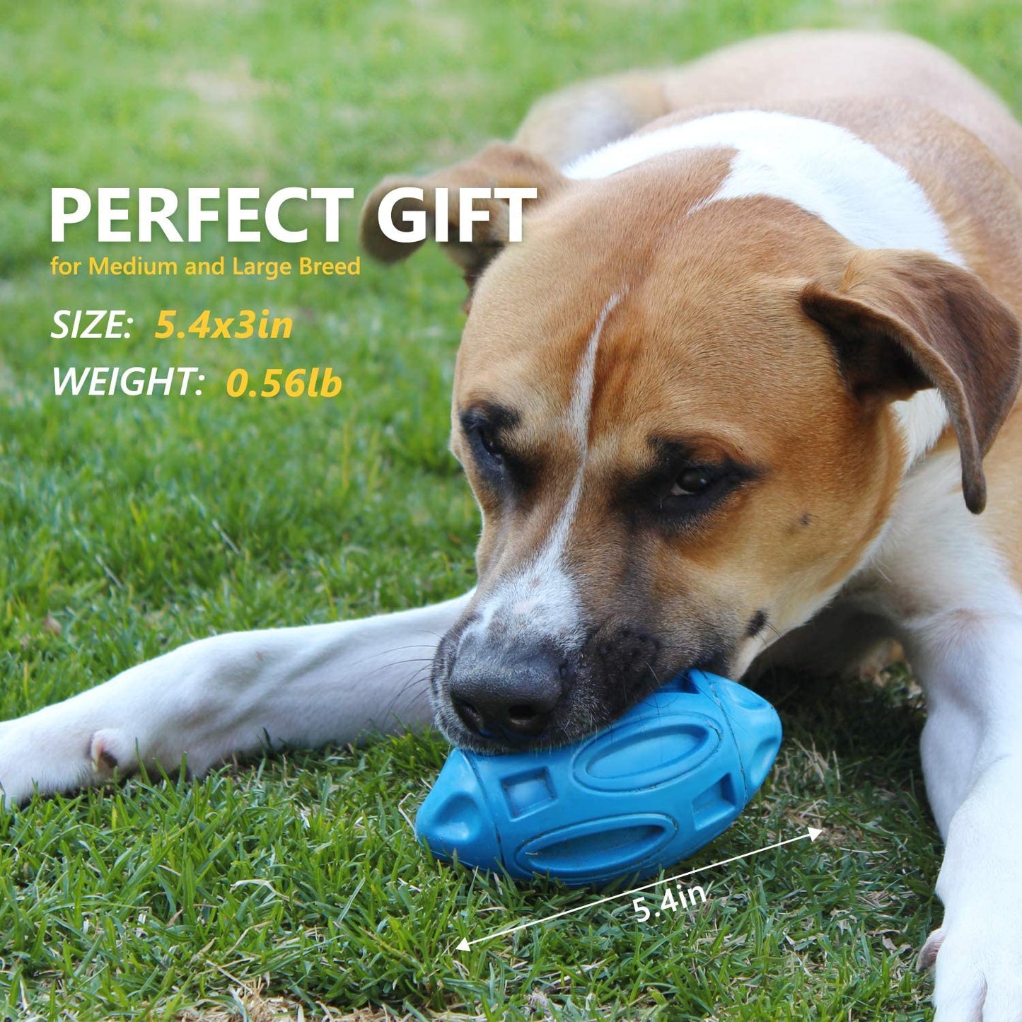 Durable Rubber Squeaky Rugby Dog Ball-2