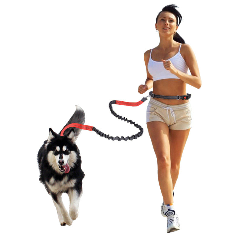 Elastic Reflective Pet Running Traction Belt-2