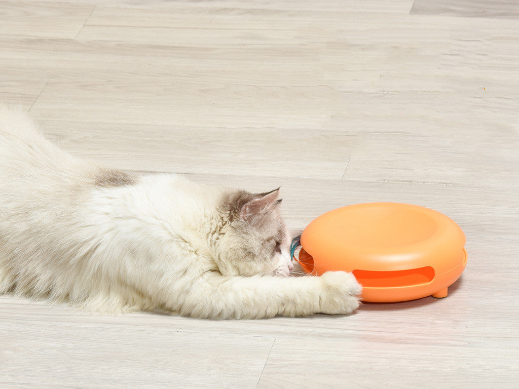 Entertaining Feline Feeding Station-4