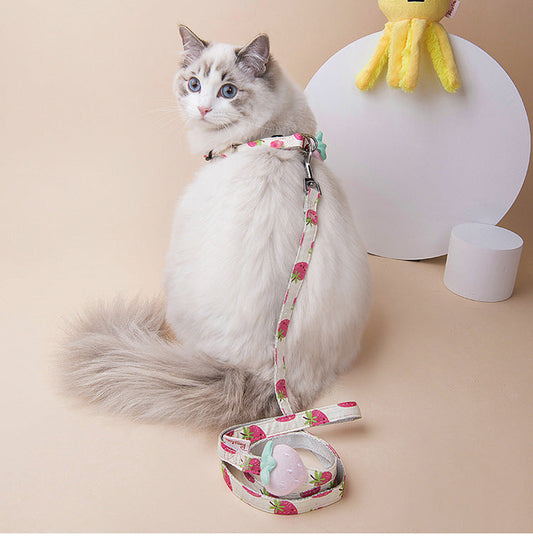 Fruit Series Dog Collar-0