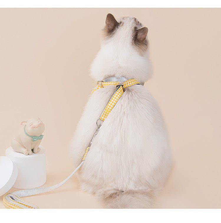 Fruit Series Dog Collar-2