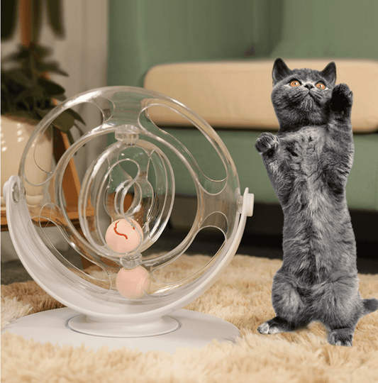 Interactive Cat Spin & Learn Toy-0