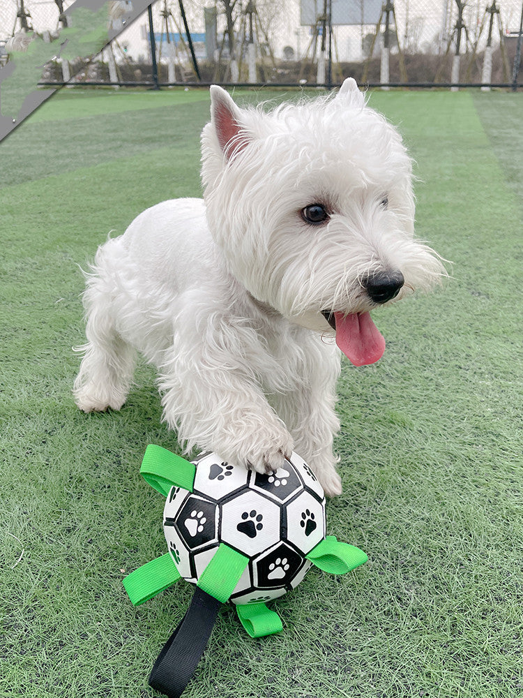 Lovely Paw Football Dog Toy-1