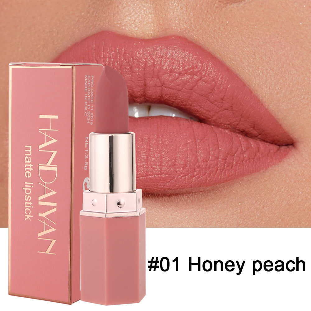Matte Nourishing Lipstick-2
