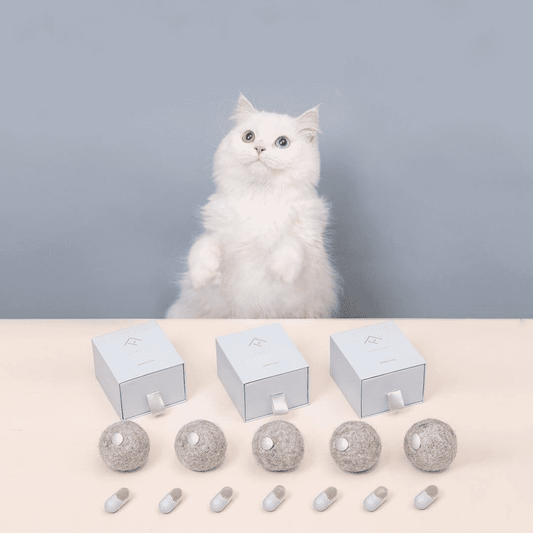 Pure Wool Interactive Catnip Capsule Toy Set for Cats-0