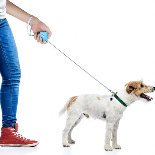Retractable Mini Dog Leash-0