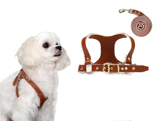 Traction Suit Chest Strap Dog Leash-0