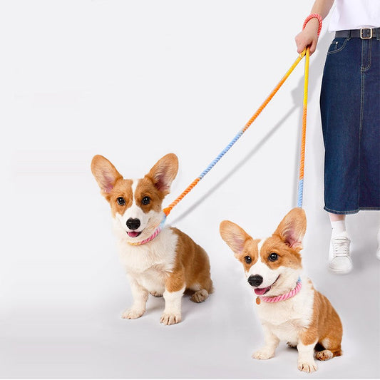 Versatile Double-Ended Dog Leash-0